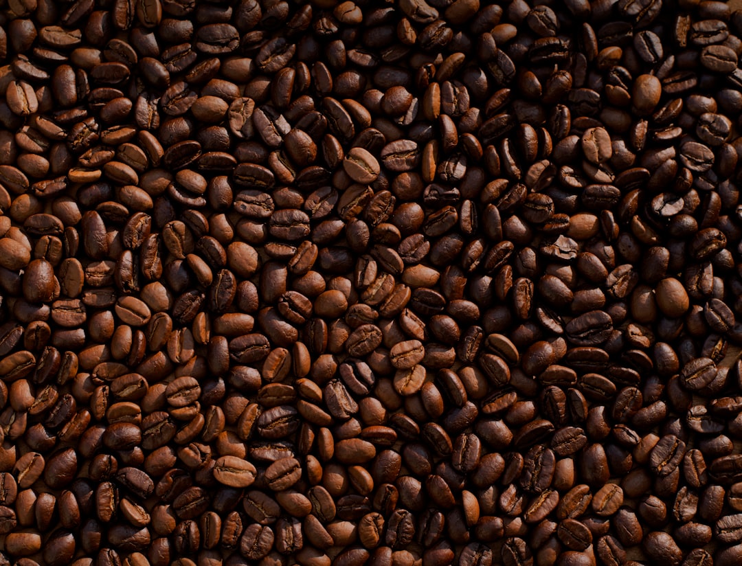 El arte del espresso perfecto